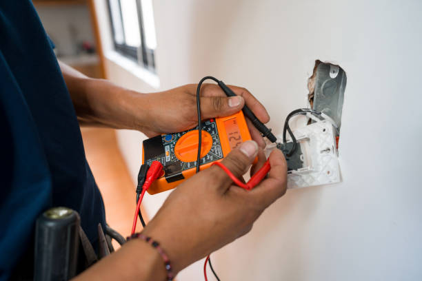 Best Electric Panel Repair  in Colonia, NJ